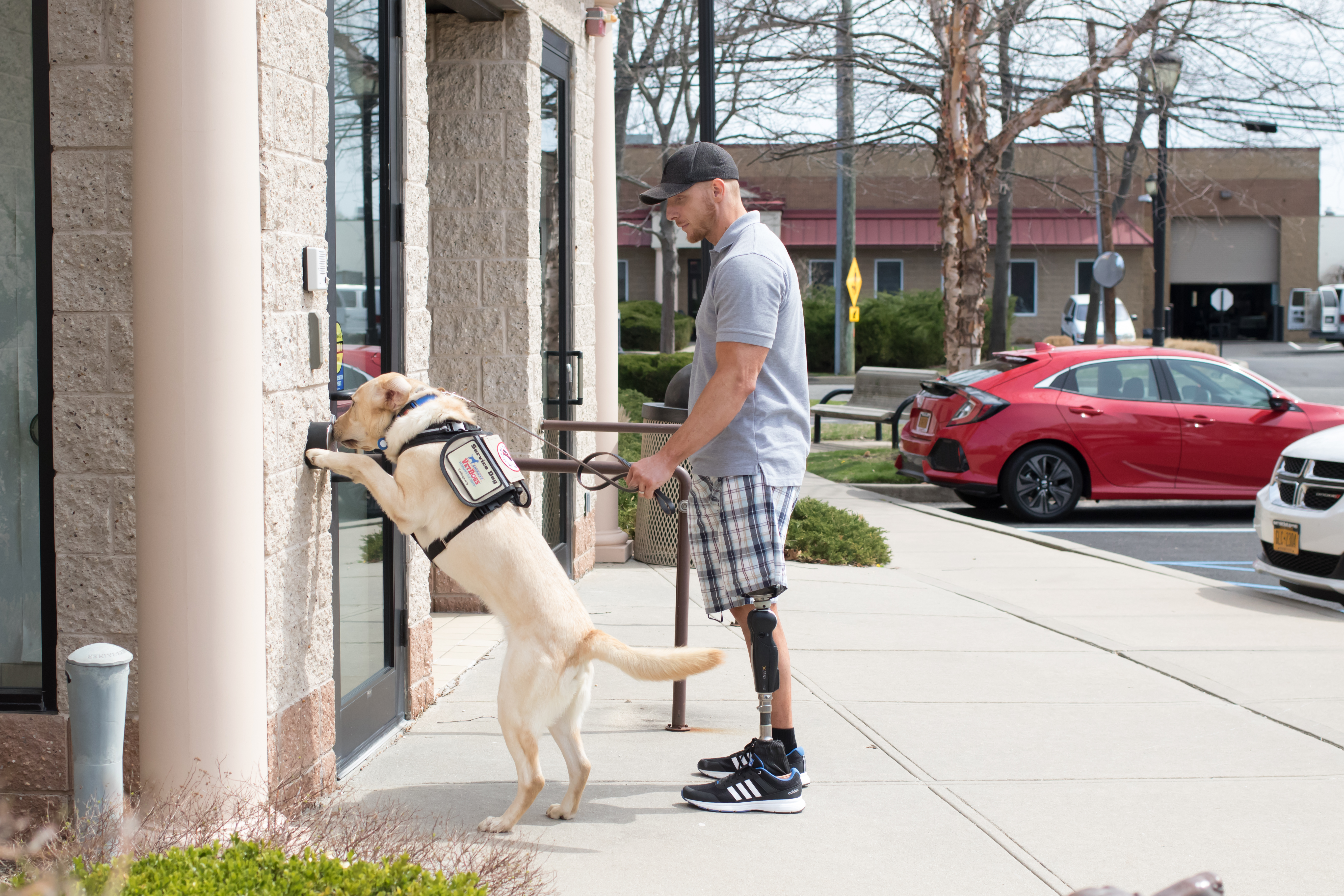 Amazin' Mets Foundation partners with America's VetDogs to raise