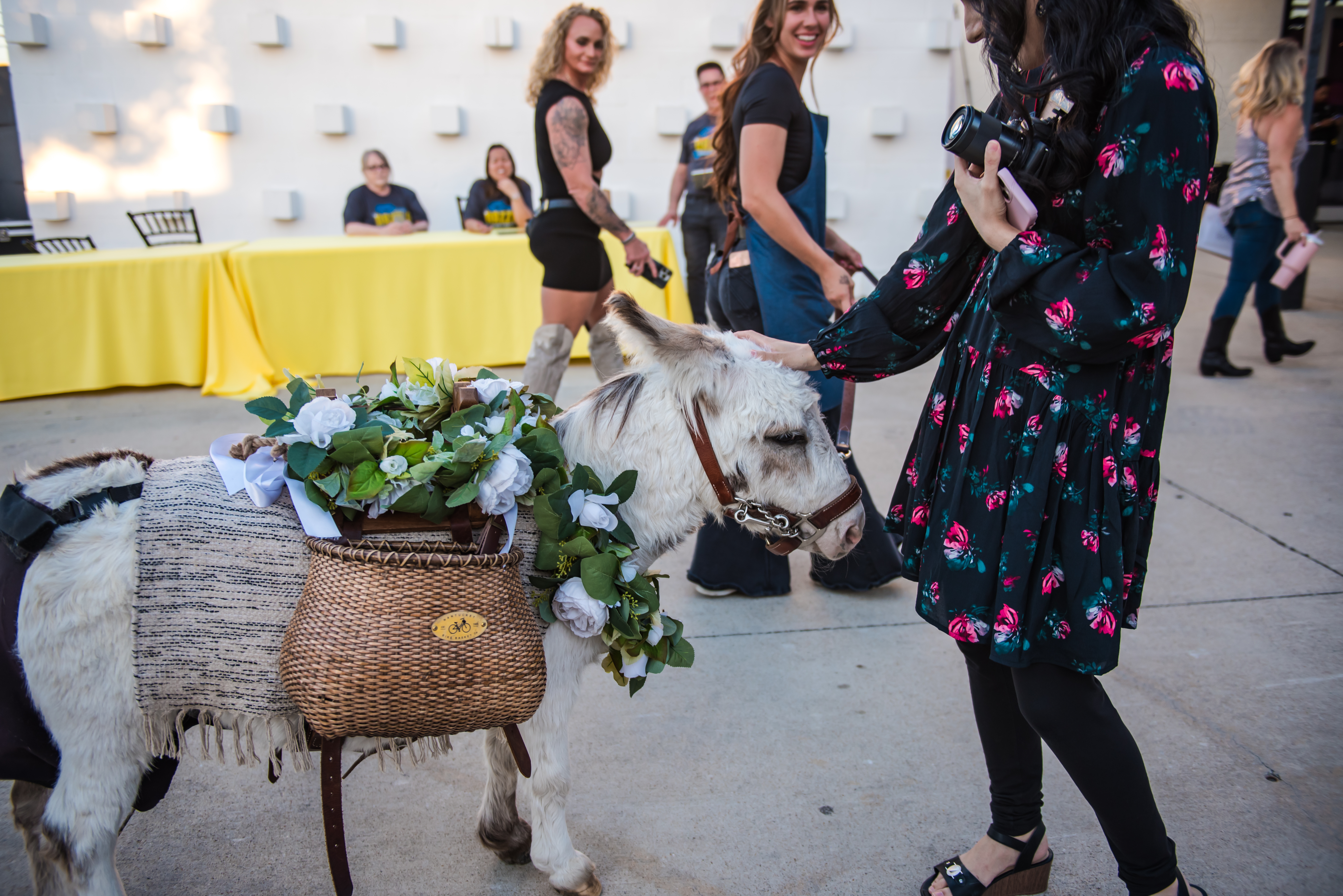 The Beer Burro Bringing Smiles to Everyone