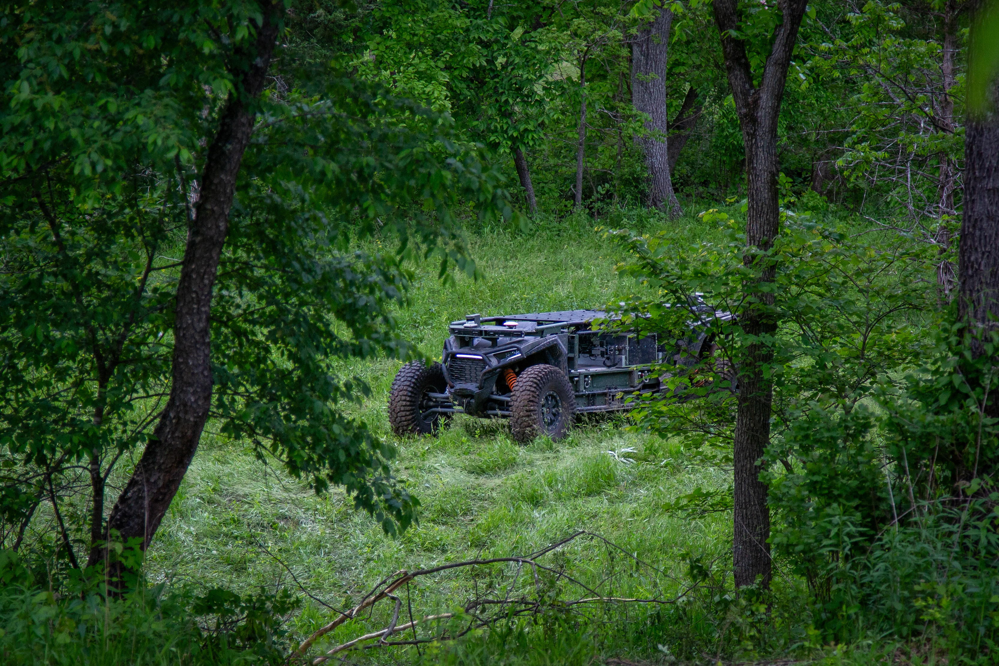 ULTRA_Forest
