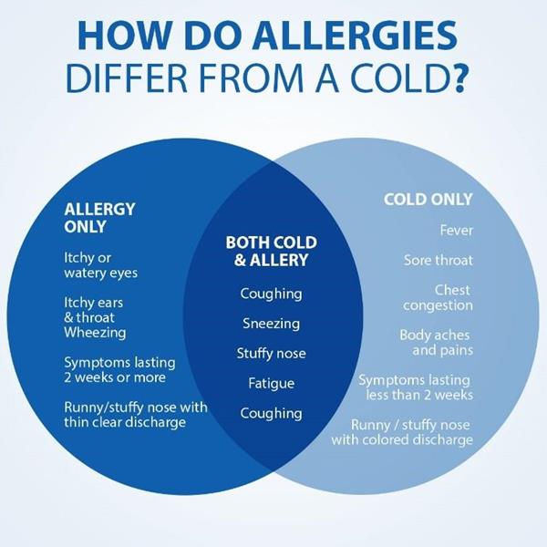 How do allergies differ from a cold?