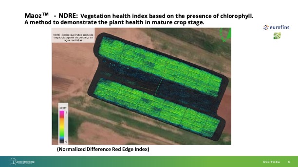 Maoz(TM) - NDRE: Vegetation health index based on the presence of chlorophyll.  A method to demonstrate the plant health in mature crop stage.
