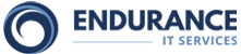 Endurance-IT Achieves Elite SSAE 19 CIS Security Maturity - Vimarsana News