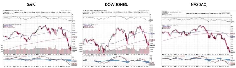 Stock Market Performance