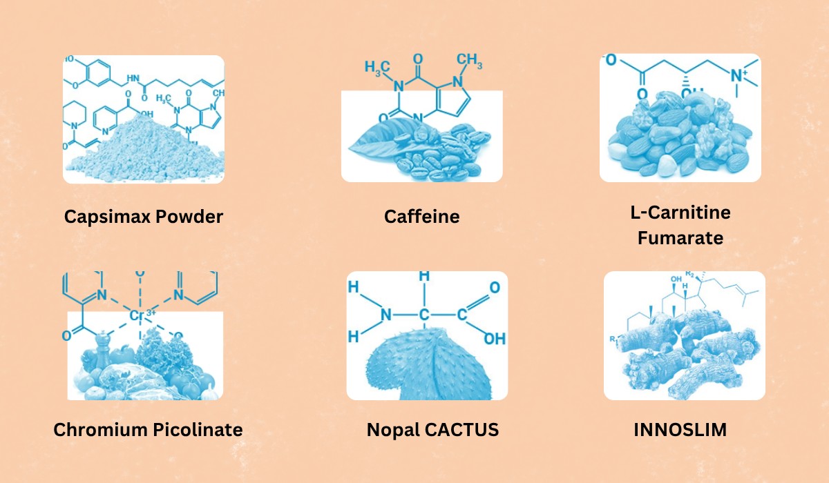 PhenQ Ingredients