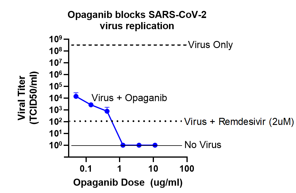 Opaganib blocks SARS-Cov-2 virus replication