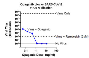 Opaganib blocks SARS-Cov-2 virus replication