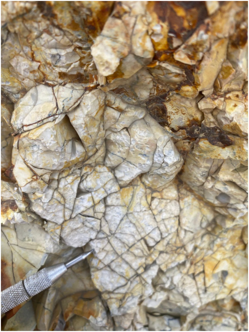 Replacement silicification and crackle brecciation 