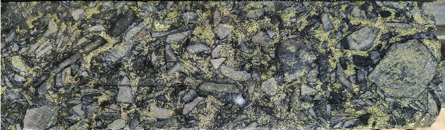 Figure 3 - Typical sulphide-rich breccia mineralization in hole SFDH-042