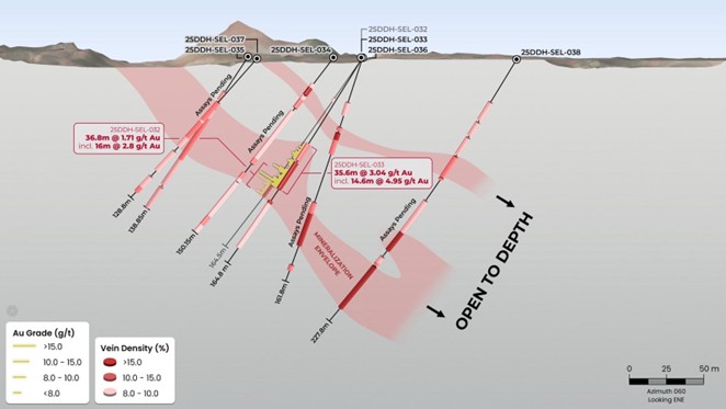 Figure 1 image