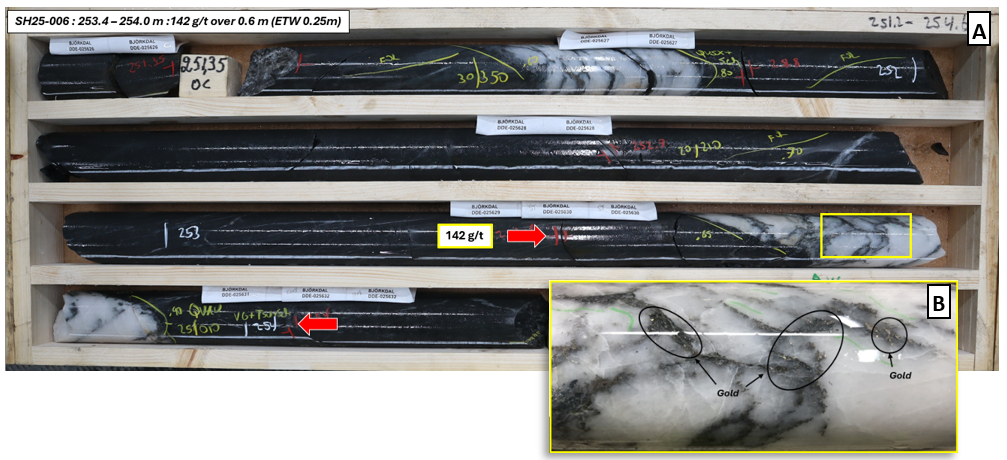 Drill core photos from SH25-006 showing an intercept grading 142 g/t gold over 0.60 m (ETW 0.25 m) (A) and a close-up of mineralised quartz vein (B).