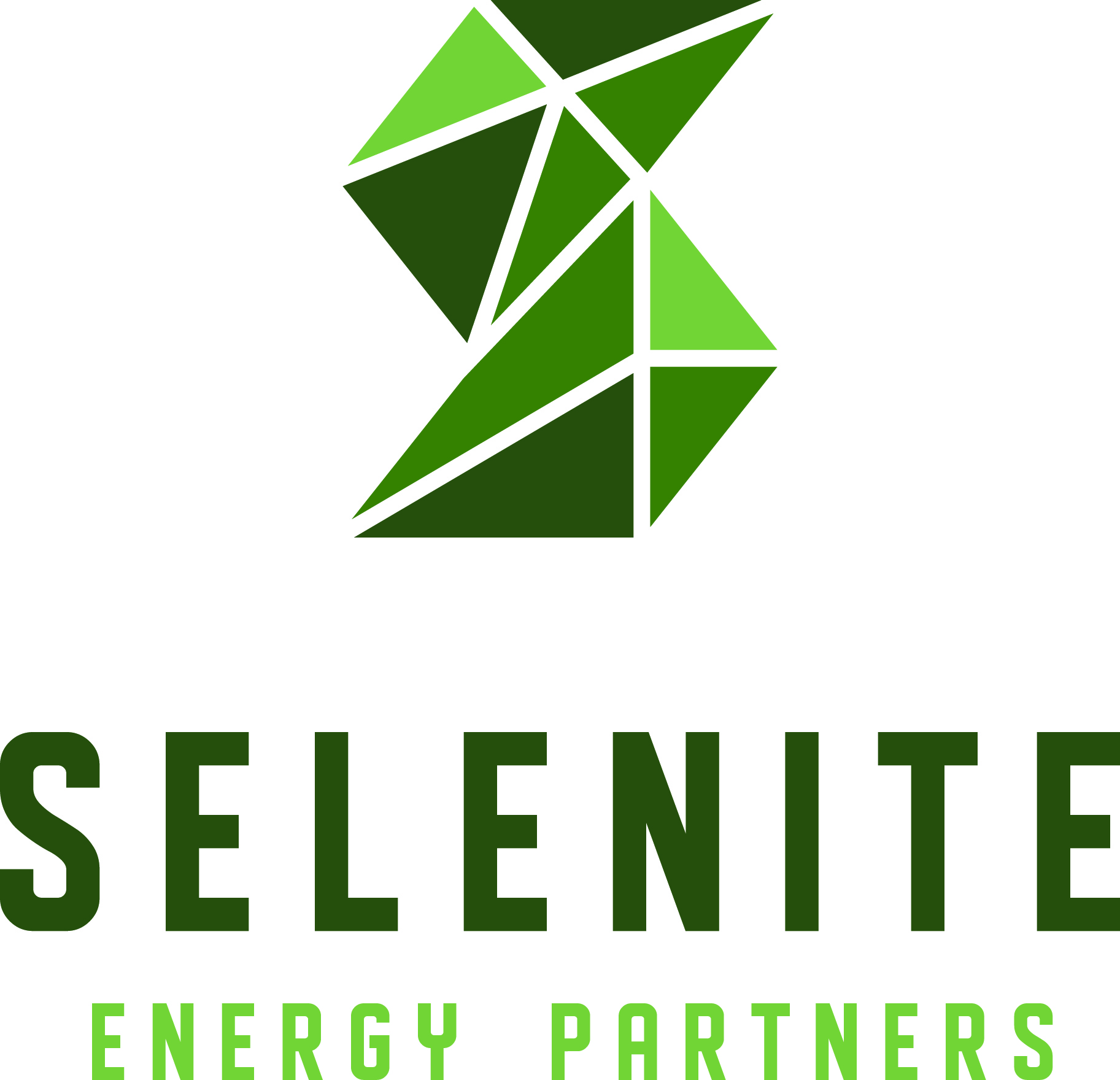 Selenite logo