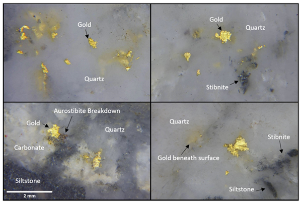 Figure 5. Photomicrograph of gold within the vein at 193.21m of BC187 highlighting the spatial relationship with quartz, carbonate, stibnite and siltstone.