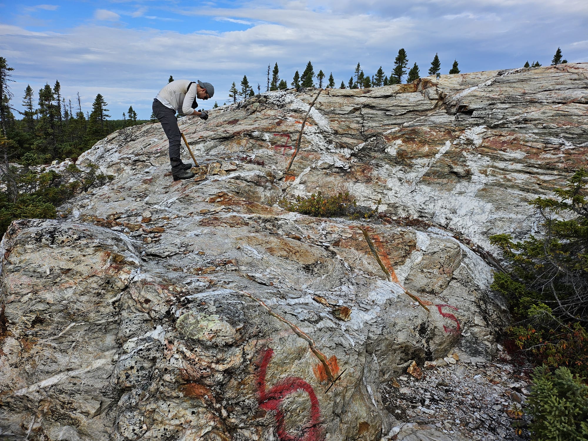 Figure 3: Bridal Veil Outcrop with quartz veining in psammite
