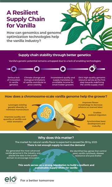 A Resilient Supply Chain for Vanilla