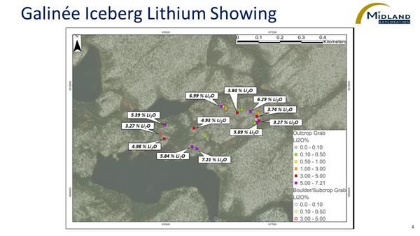 Figure 4 Galinée Iceberg Lithium Showing