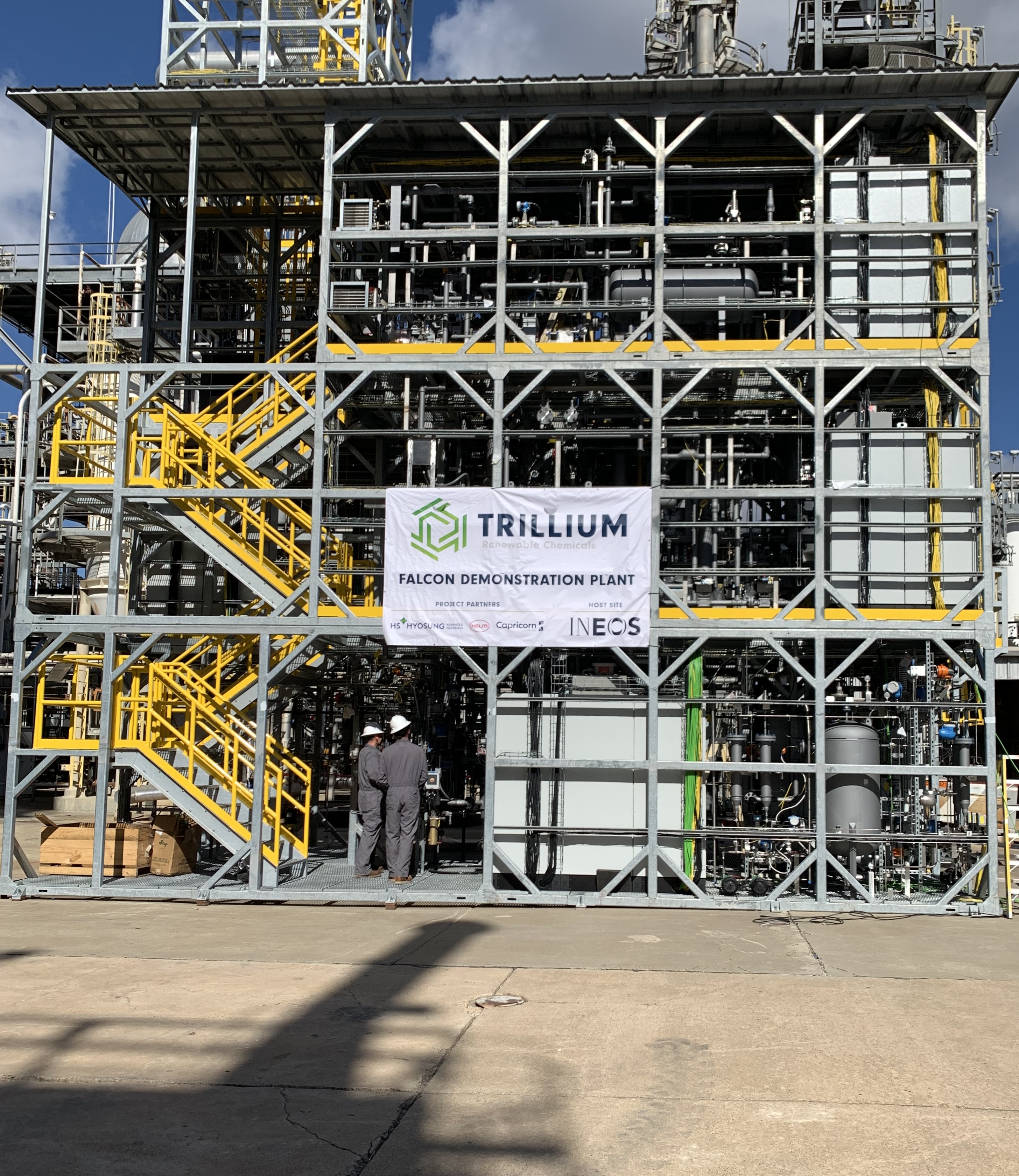 Trillium Falcon Demo Plant