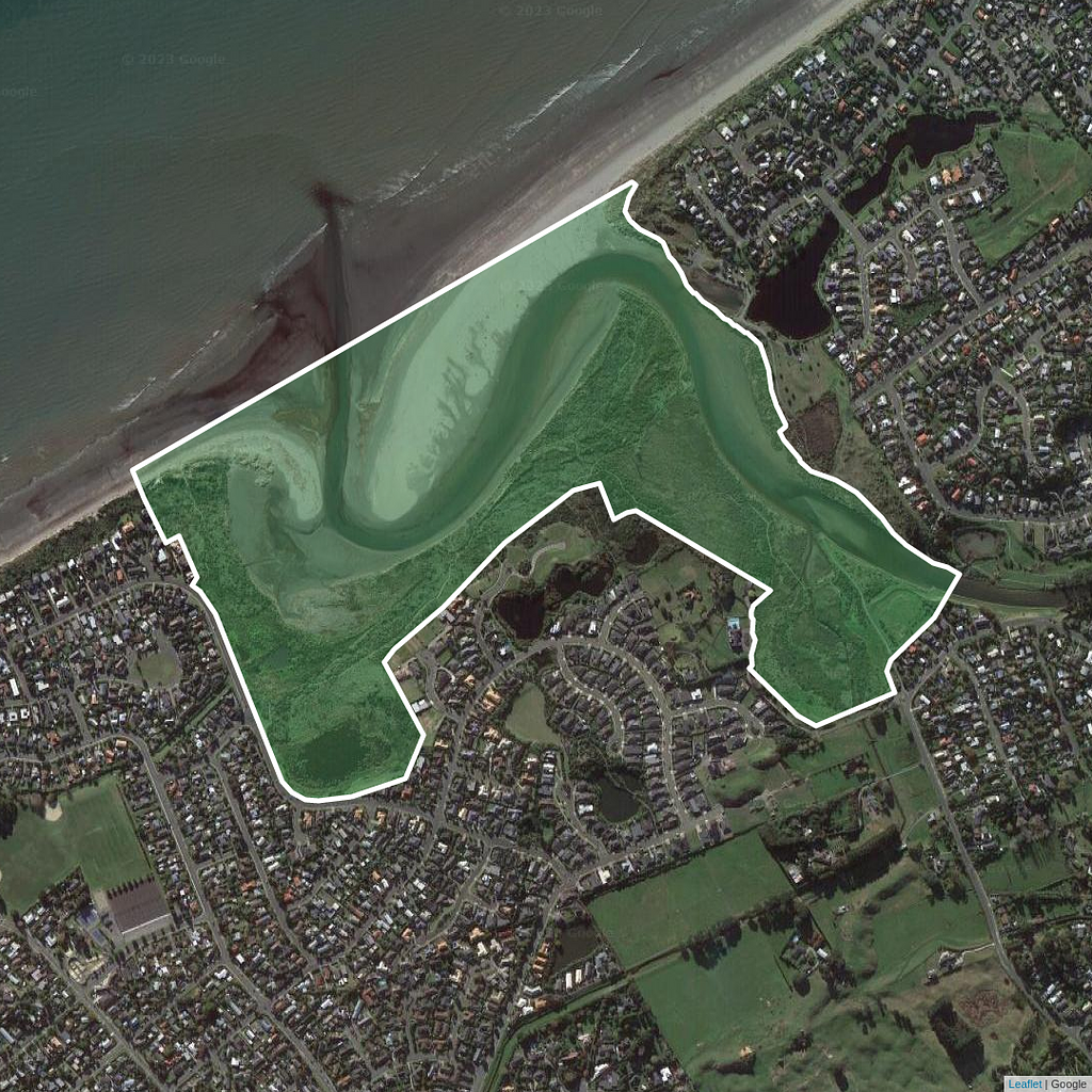 Waikanae Estuary Scientific Reserve