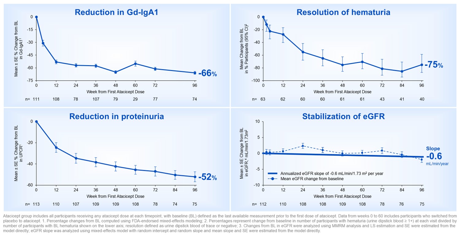 Vera Therapeutics Announces 96-week eGFR Stabilization in ORIGIN Phase 2b Study of Atacicept in IgAN in a Late-Breaking Oral Presentation at the American Society of Nephrology Kidney Week 2024