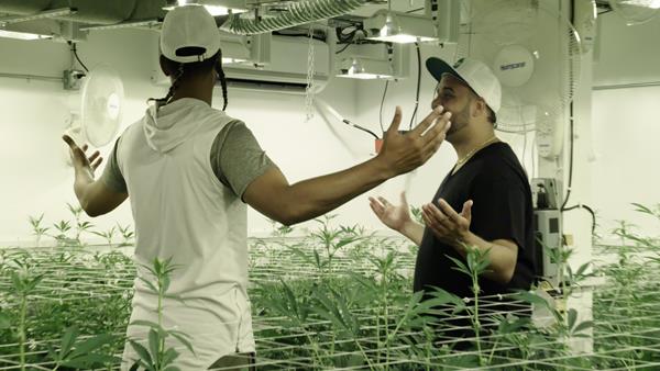 Visiting a Cannabis Grow Space in L.A.