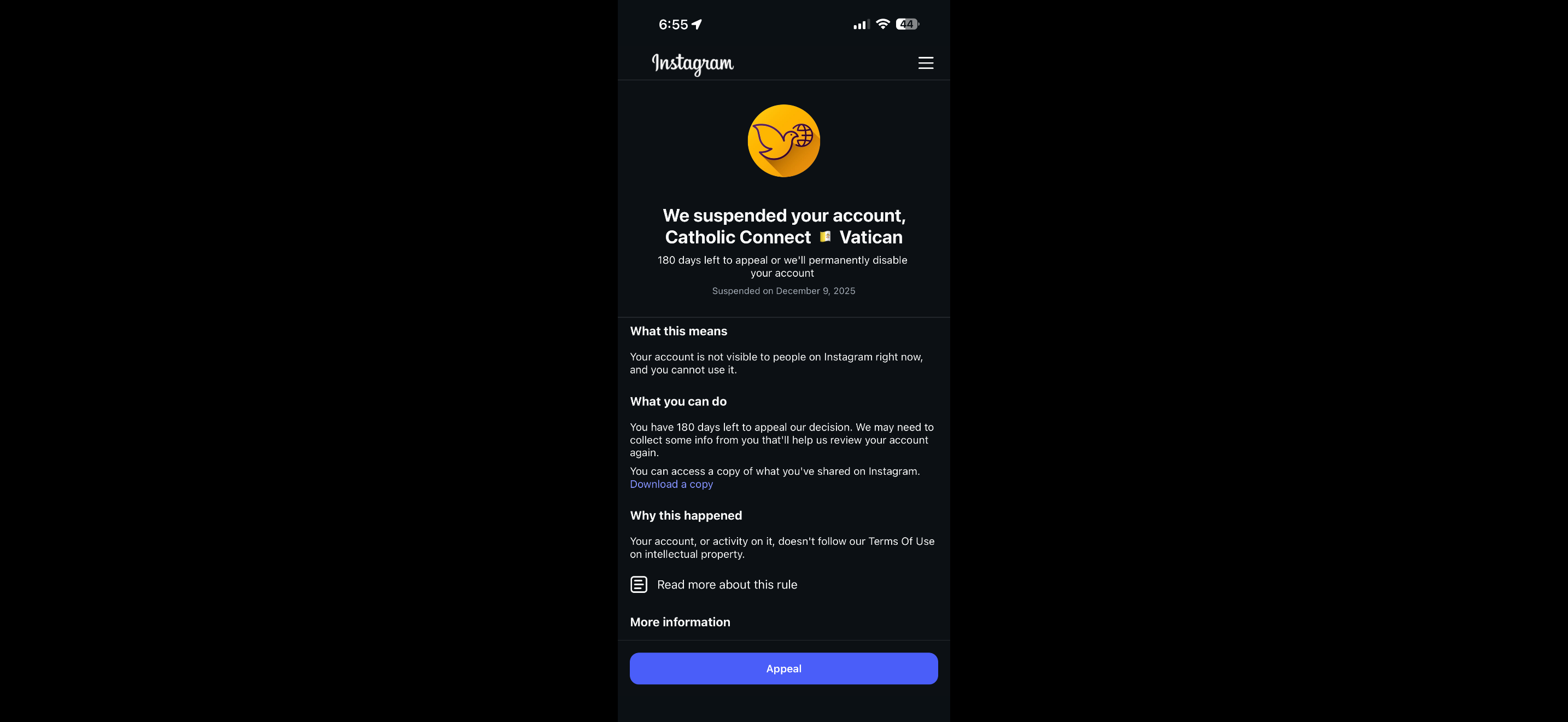 Proof Instagram Lied To Catholic Connect About Deactivation