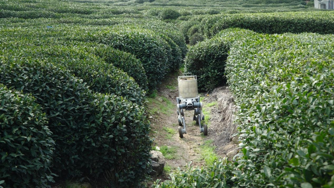 LYNX M20 Wheeled-Legged Robots