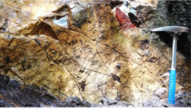 Figure 5(b): Box: Porphyry Style Stockwork Mineralization and Veinlets in Outcrop Samples