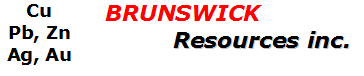 brunswick_logo_ENG.png