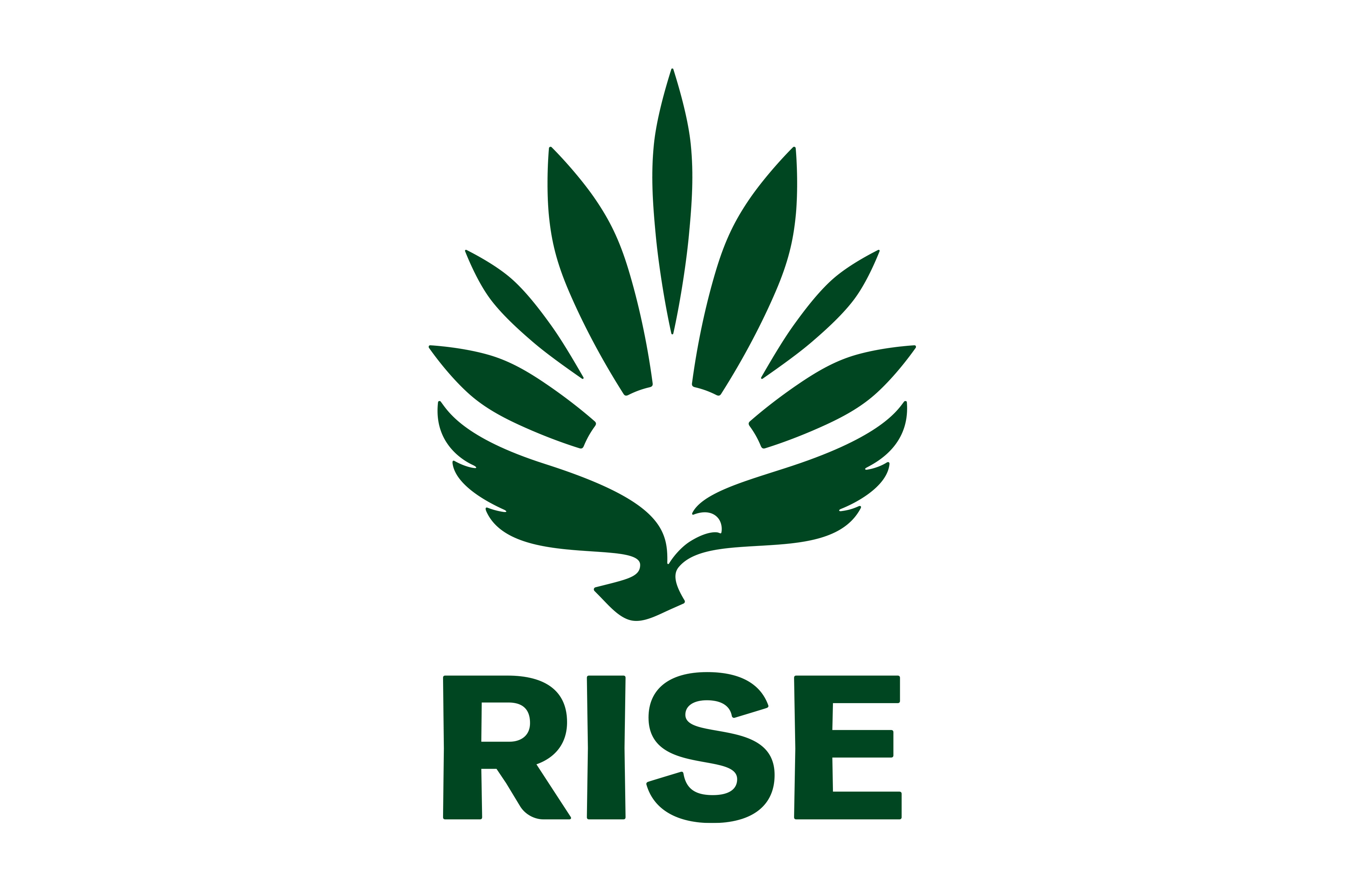 RISE Logo