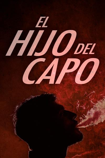 A story full of action, betrayal and revenge. The sins of the past come back to the tormented Joaquín’s mind, who is considered one of the most ruthless and powerful criminals in the region. Many weapons in his possession have made him a very sharp sniper as a drug dealer and son of the big dreadful mafia boss. 