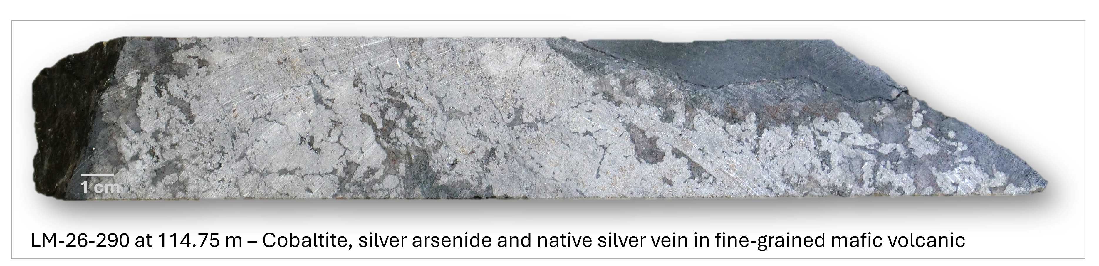Figure 6 image