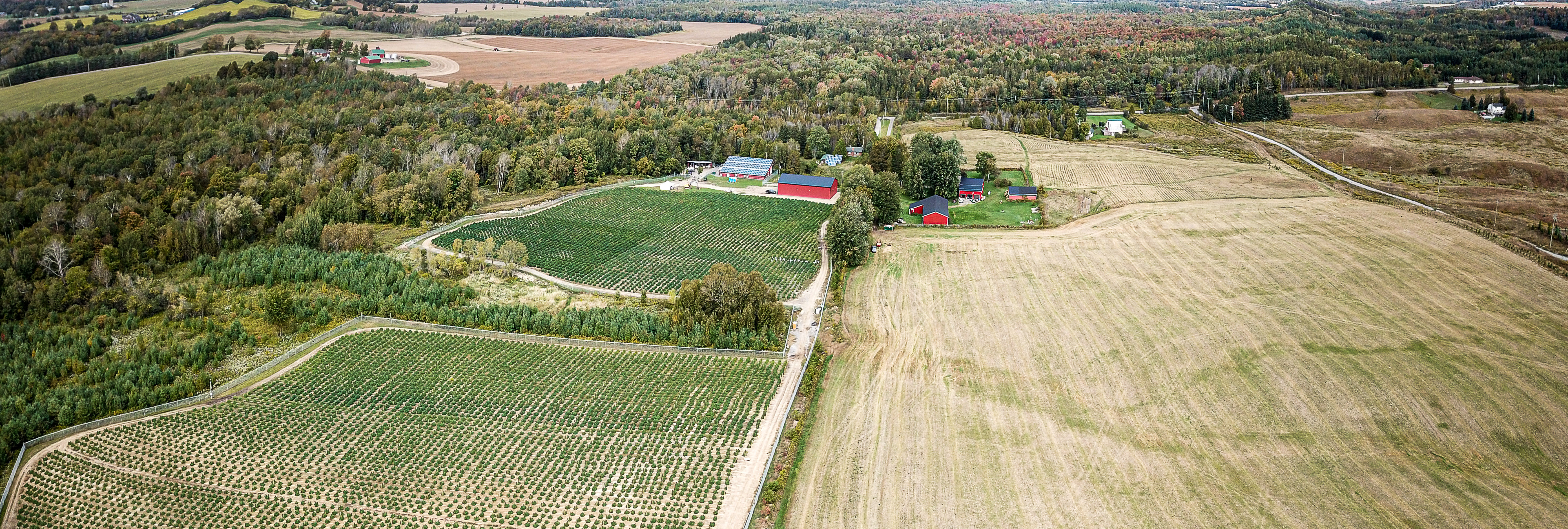 Aleafia Health 86 Acre Outdoor Grow Site