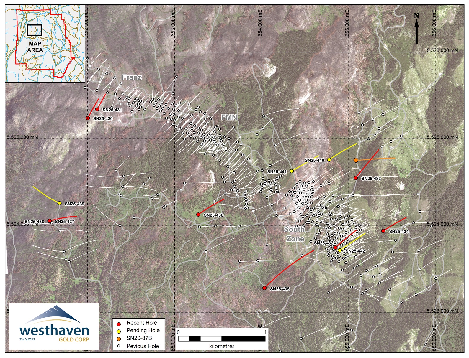 Figure 1 image