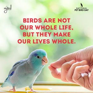 Birds are not our whole life. But they make our lives whole. Celebrate the many ways in which pet birds enrich our lives on September 17, National Pet Bird Day.