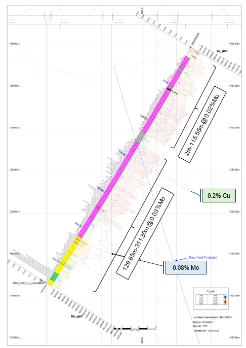 Western Metallica Resources Corp. - 4