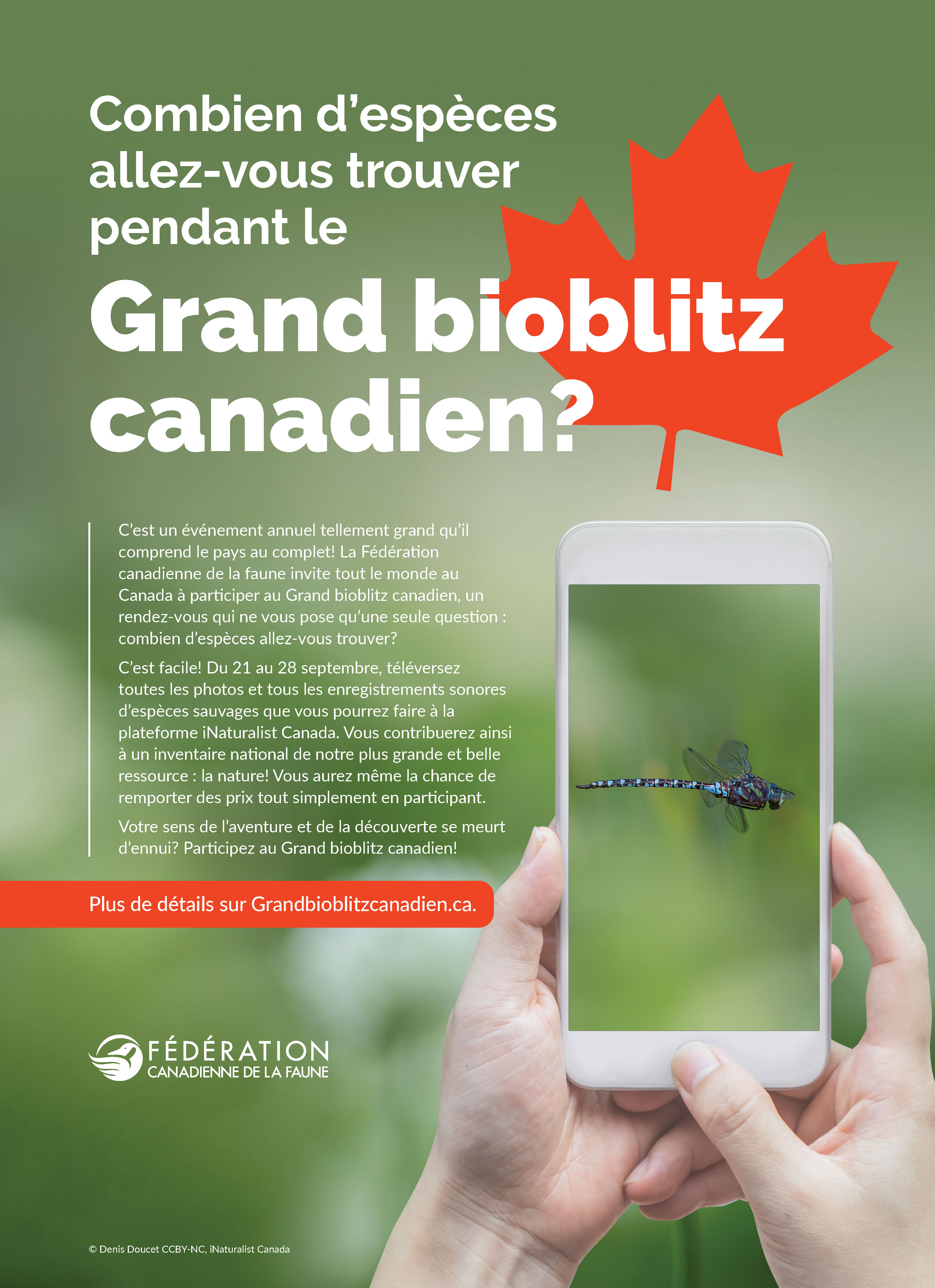 Joignez-vous au Grand bioblitz canadien sur iNaturalist