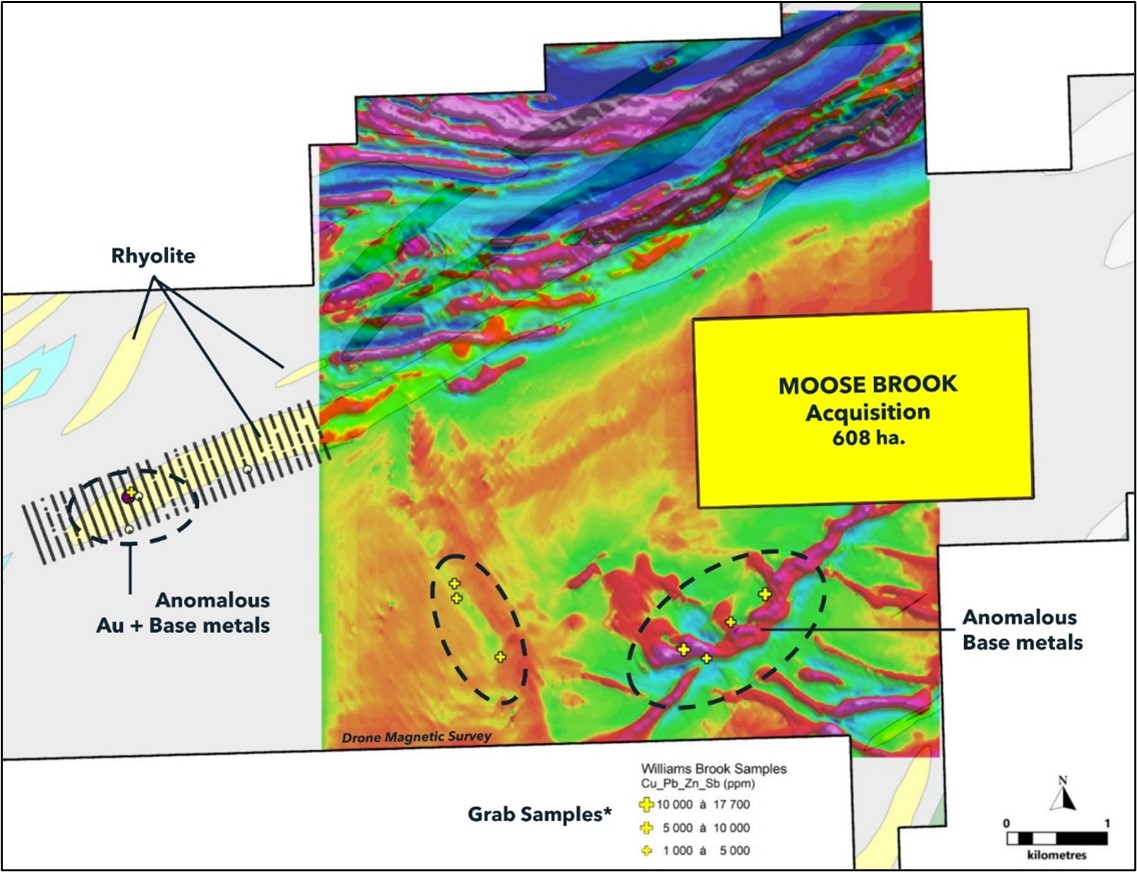 Mineralization potential near the newly acquired Moose Brook property