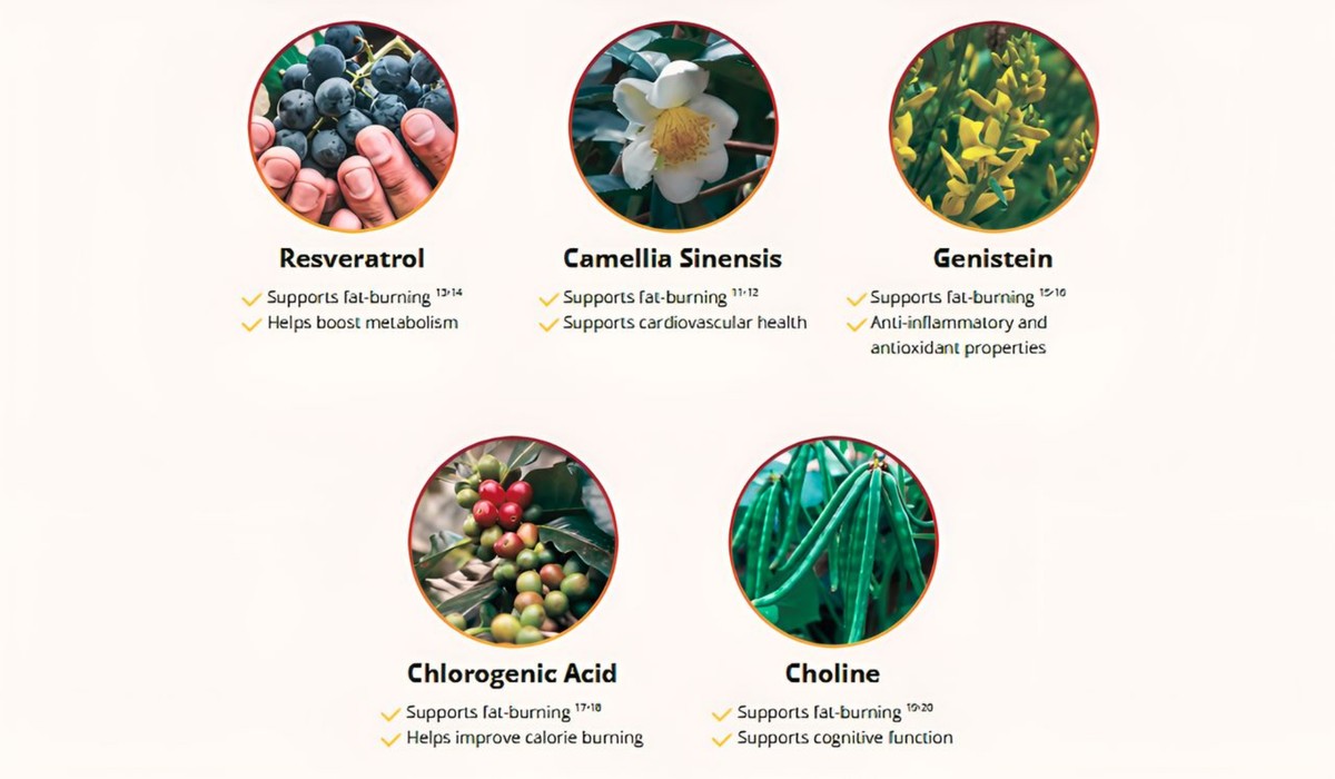HepatoBurn Ingredients