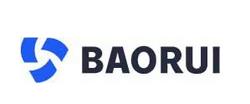 BAORUI logo.PNG