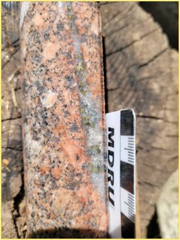 Hole 22MT029: Drill core at a depth of 157.00 metres showing relatively fresh granodiorite hosting a cross-cutting quartz sulphide veinlet consisting of chalcopyrite, pyrite, and trace bornite. Sample grades 0.78 g/t gold over 1.49 metres with elevated silver and copper values.