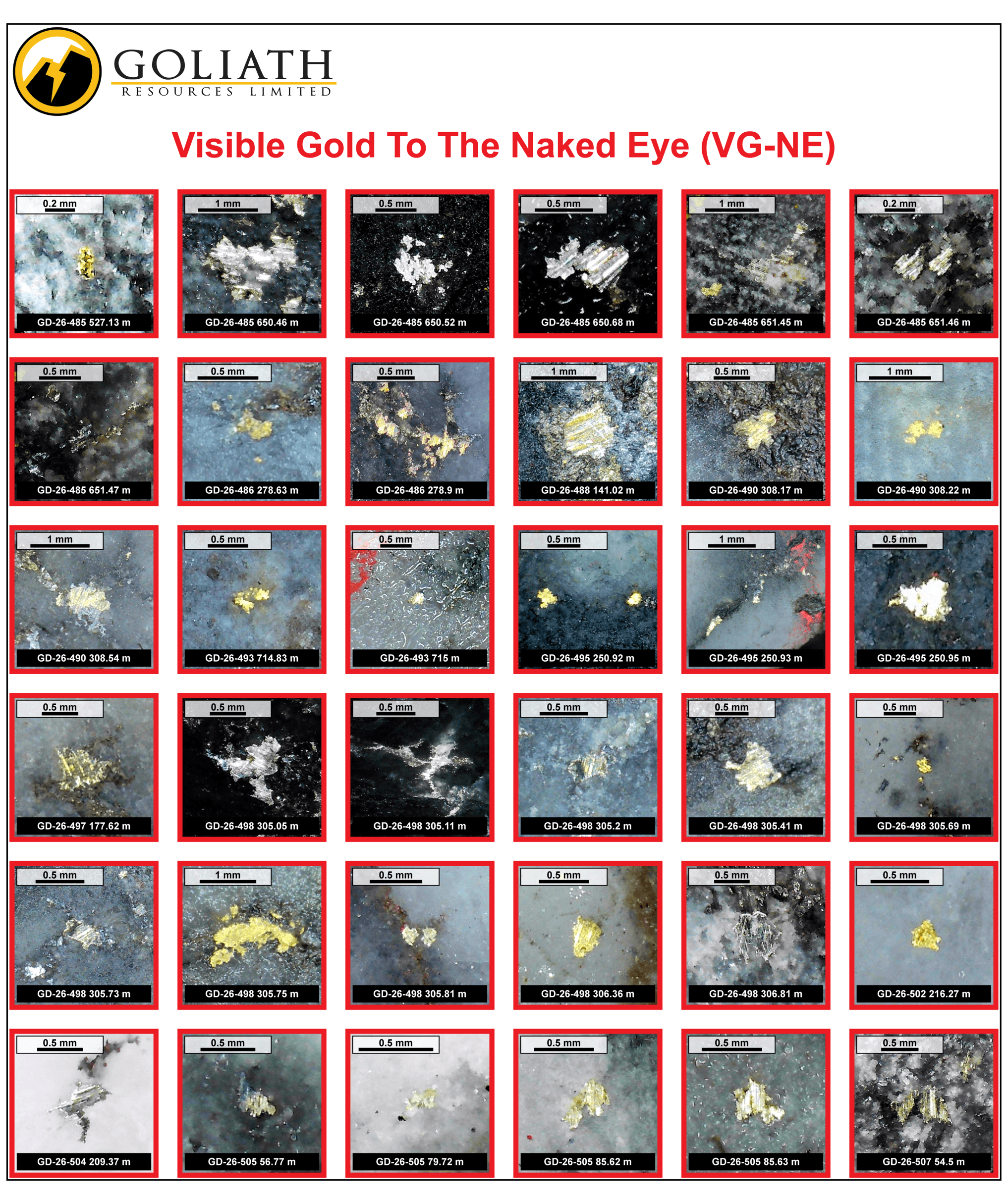 Figure 1f VG-NE