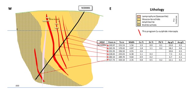 Nueva Celti cross section 100S containing hole NCDD001 from the current Western Metallica drilling program. The position of the mine levels is also shown.