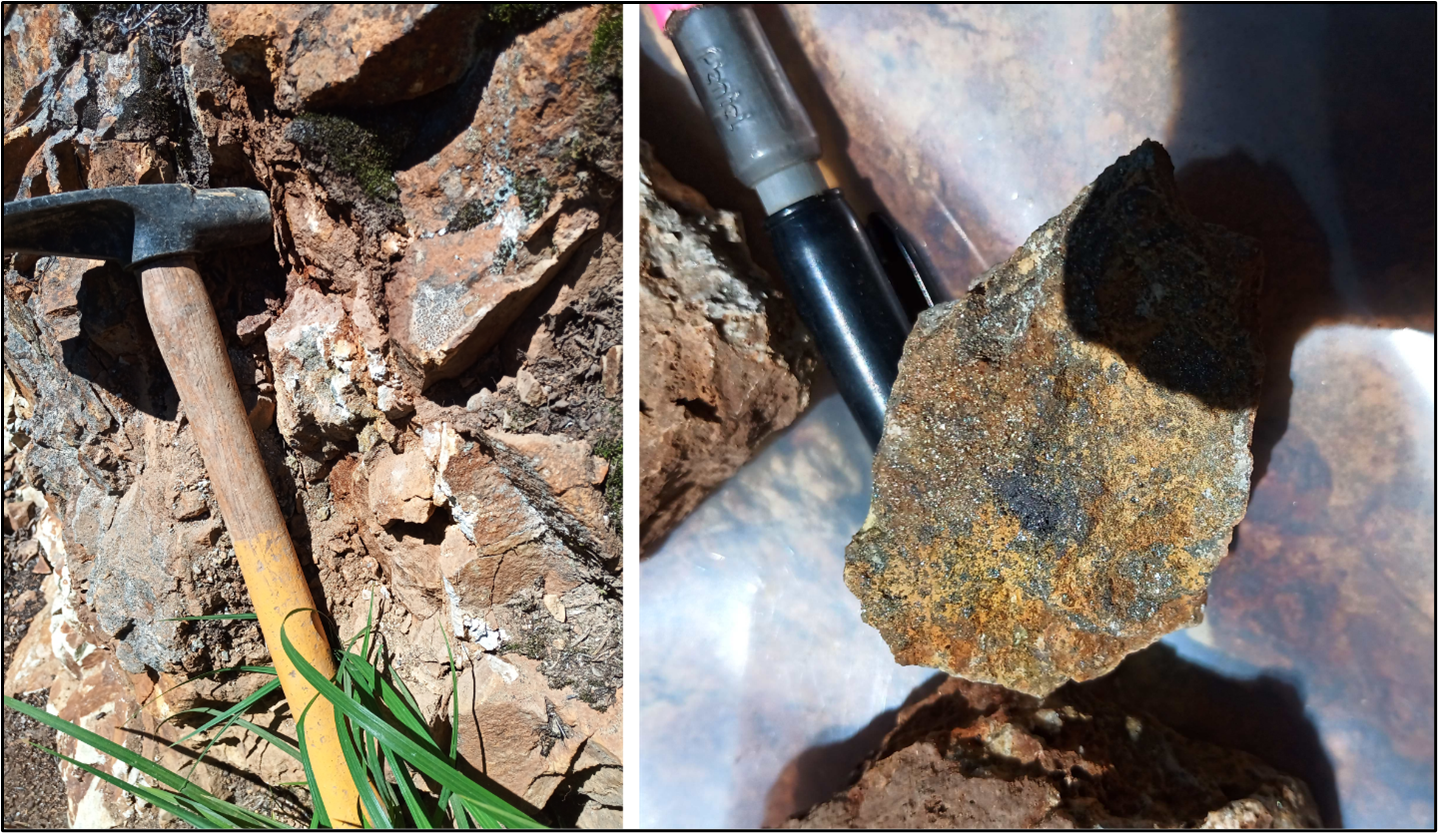 Sample 996369 from the Tahtsa Target (4150 g/t silver and 4.34 g/t gold). Left: altered, rusty outcrop with quartz veinlets. Right: Quartz pyrite-chalcopyrite vein with patches of black sulfide.
