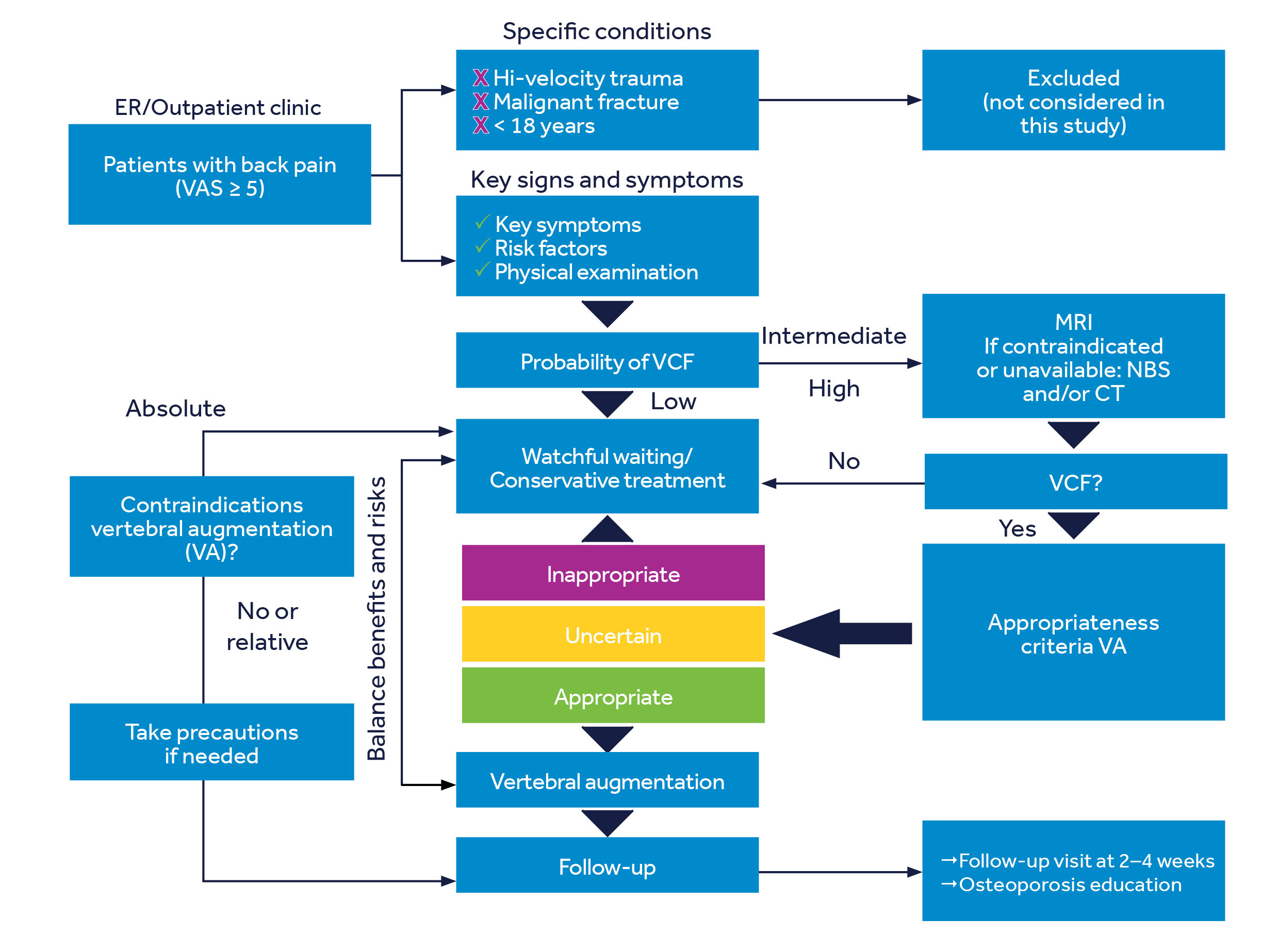 BKP VFF Clinical Care Pathway