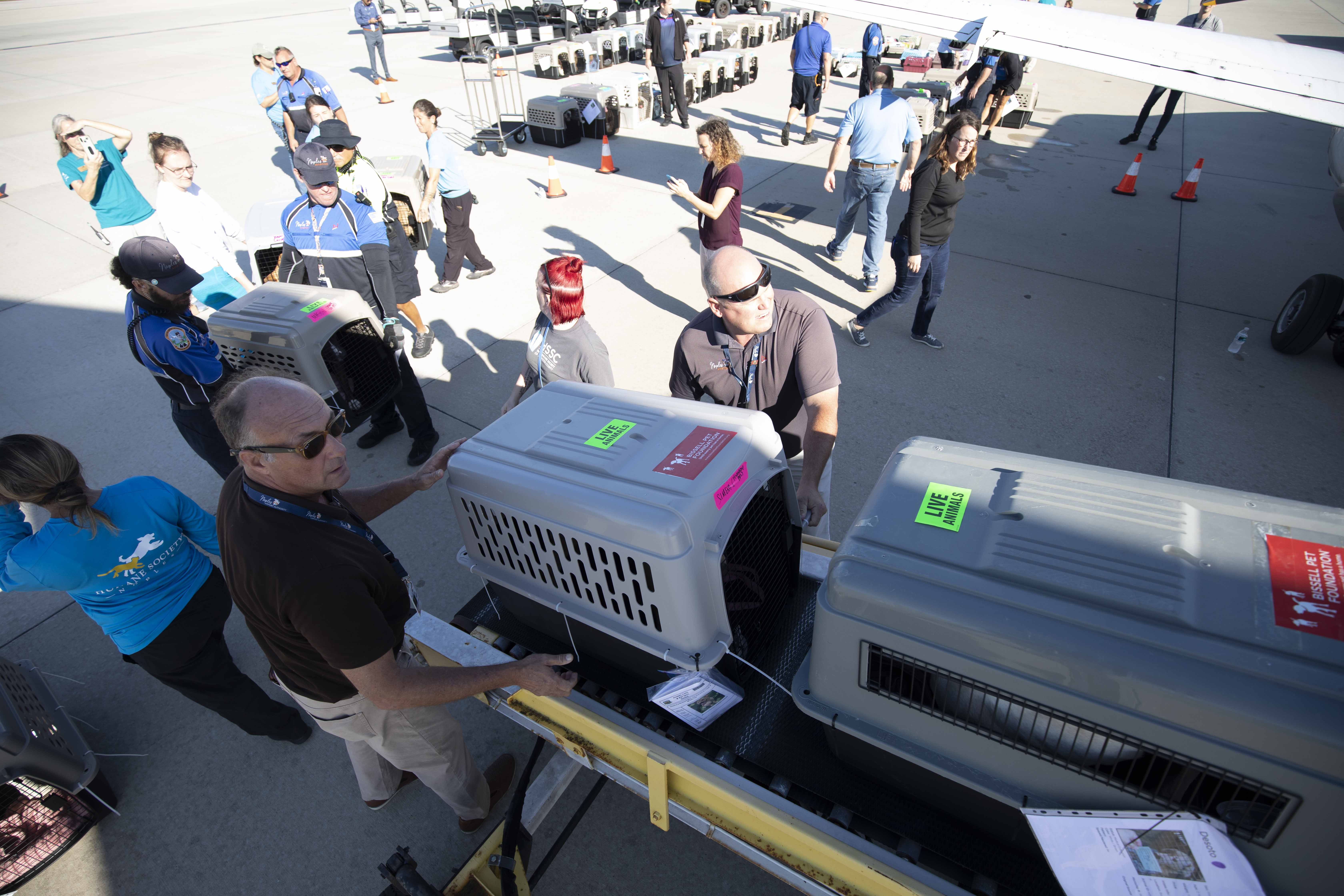 BISSELL Pet Foundation transports homeless pets from Naples, Fla.