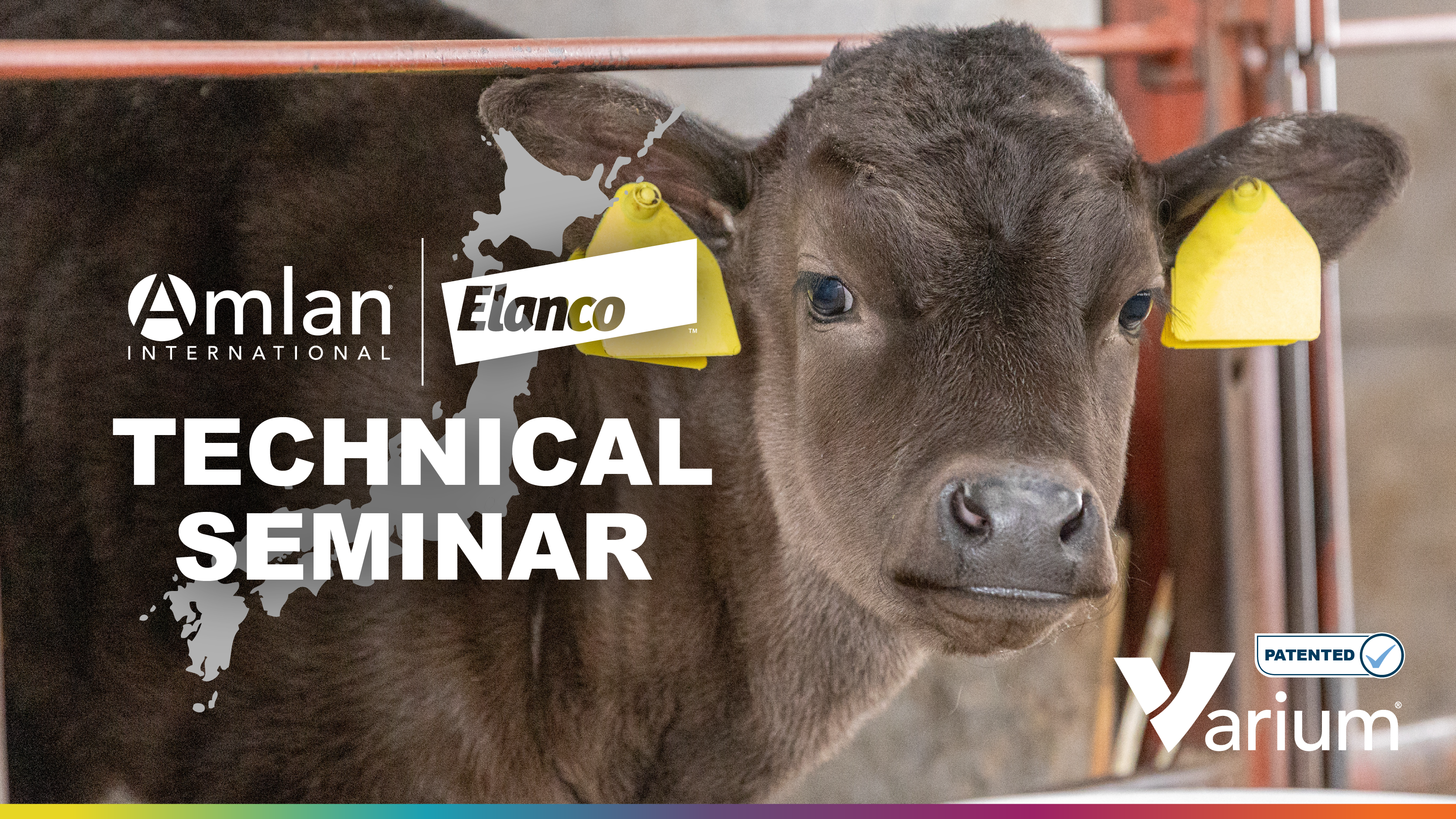Amlan International and Elanco Collaborate on Japanese Educational Seminars Focused on Calf Health