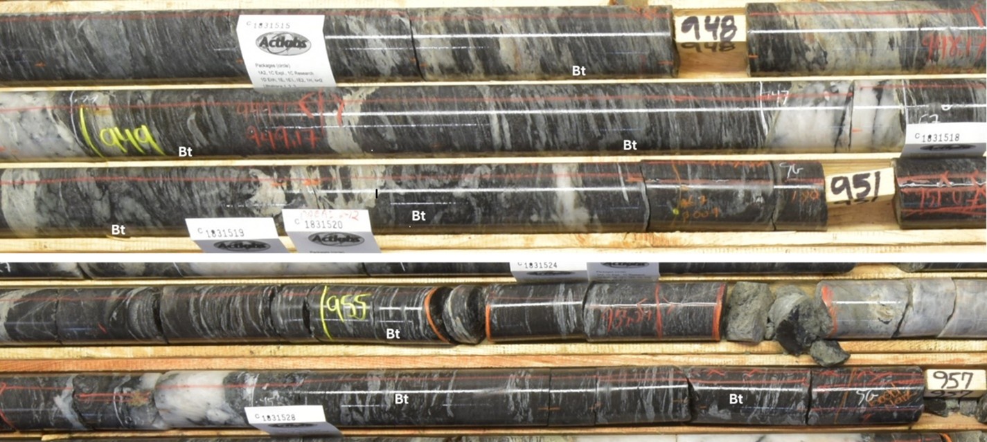 Biotite Haloes around the early-syn deformation veins in the Jubilee Shear