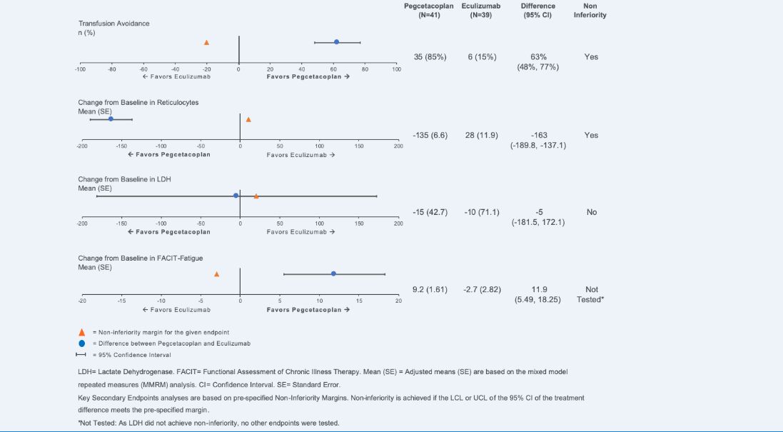 Apellis Pharmaceuticals, Inc. Media Snippet: Key Secondary Endpoints Analysis
