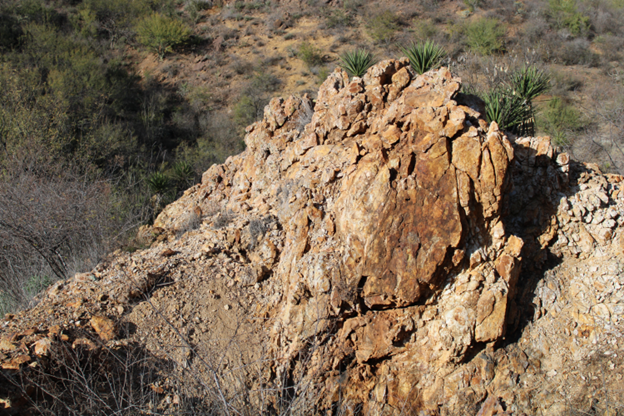 Typical outcrop of brecciated low sulphidation quartz veins at Oso Negro showing pervasive iron oxide staining after sulphides. 
