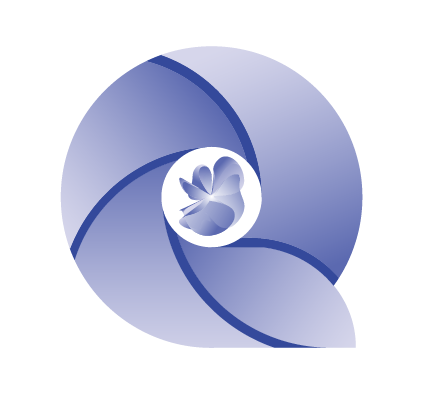 QBiz logo.png