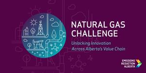 Natural Gas Challenge